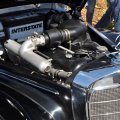 DSC_0307web