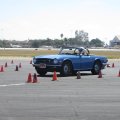 IMG_5063.1