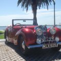 PhilipRoss19461800RoadsterStPetersburgFL