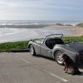 RyeLivingstonDixieDog1960TR3APescaderoCA