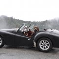 RyeLivingstonDixieDog1960TR3SantaCruzMtsCA