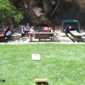 IMG_5330