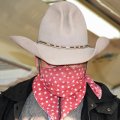 DSC_2461web