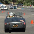 IMG_2310web