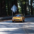 IMG_4401