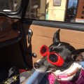 ScottHuff76TR6CharlotteNC