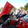 DSCN2704