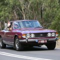 GraemeOxleyStagVictoriaAustralia