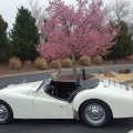 JosephGarcia60TR3AGainsvilleGeorgia