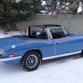 PaulWoods73StagBoiseIdaho.