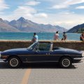 PeterSoundy1974StagQueenstownNZ