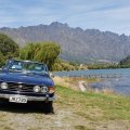 PeterSoundy74StagQueenstownNewZealand