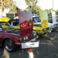 DSCN3518