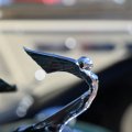 DSC_1267