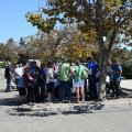 Tour Briefing