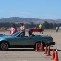 IMG_4231
