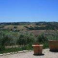 CIMG_5961