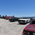 DSC_0560