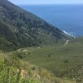 IMG_4704