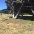 IMG_4764 - Copy