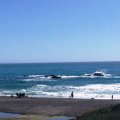 IMG_4818