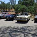 2019SpringFlingDrive-17