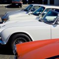 DaveSpringFling-16