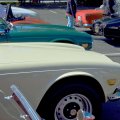 DaveSpringFling-24