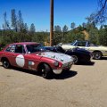 DaveSpringFling-33