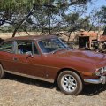 BrianMillington1977StagNorthamWesternAustralia02