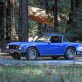 DaveSuziLogan1974TR6BigBasinCA