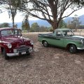 GregCampbell1950Phase1StandardVanguardSedanMooreCreekNSWAustralia