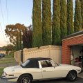 GregStevens1977StagLockleysSouthAustralia02