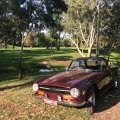 IanRigby1971TR6SalisburyParkAdelaideSouthAustralia