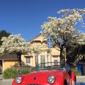 JimDaughn1957TR3MenloParkCA