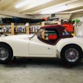 RobStok59TR3ANoordBrabantHolland