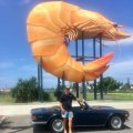 RobWebber1970TR6BallinaNSWAustralia