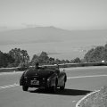 DSC_8910BWweb