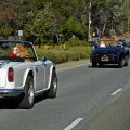 DSC_0278aweb