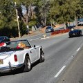 DSC_0279aweb