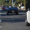 DSC_0299aweb