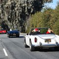DSC_0304aweb