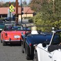 DSC_0309aweb