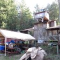 IMG_5902