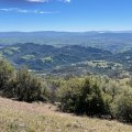 IMG_3862