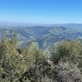 IMG_3865