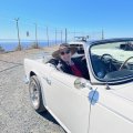 IMG_3866