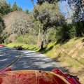 IMG_2687.