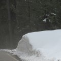 IMG_6912